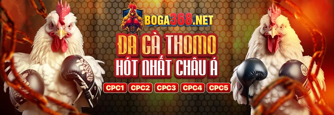 Đá gà trực tuyến 990k
